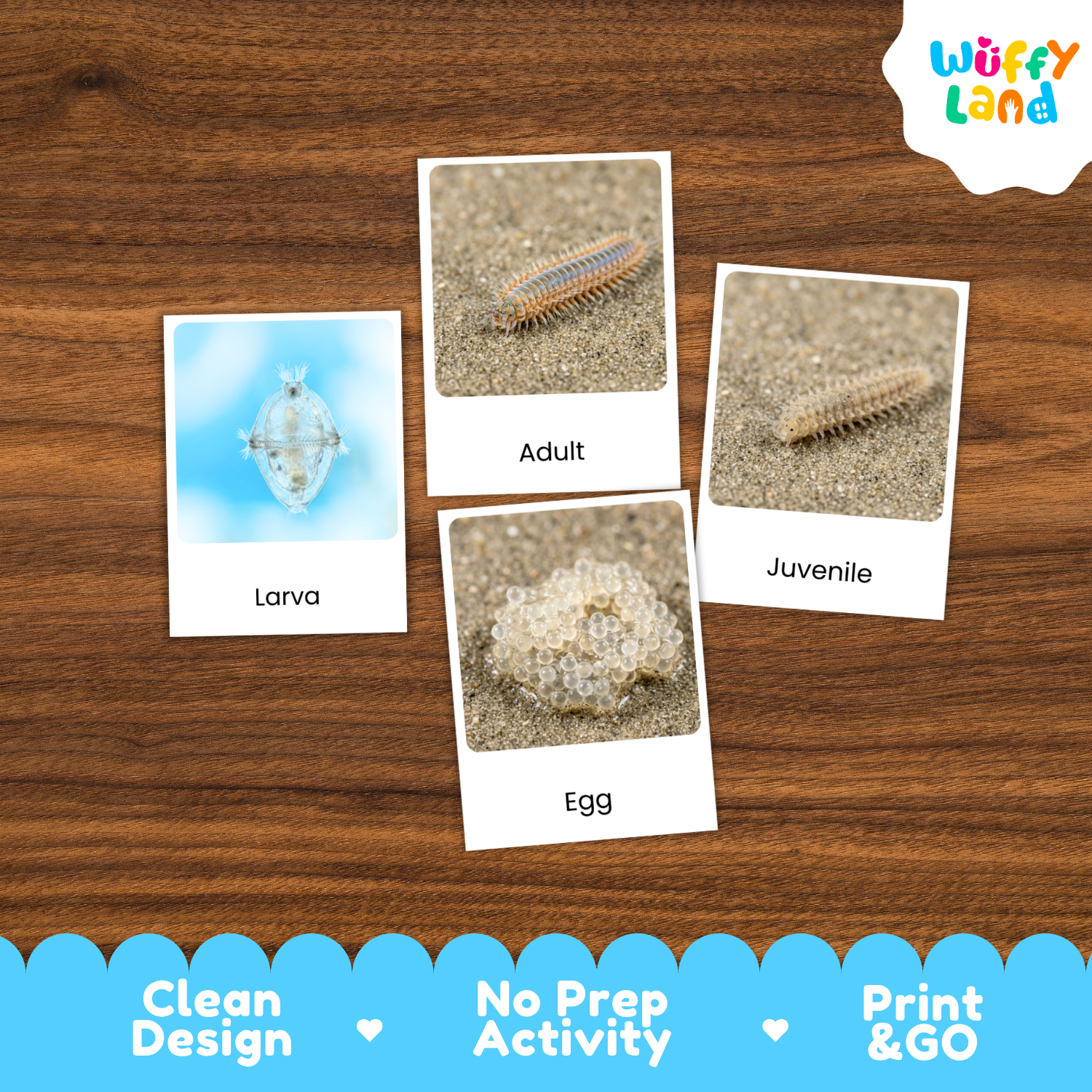 Four educational activity cards about a millipede life cycle (Larva, Adult, Juvenile, Egg) arranged on a brown wood-grain background. The cards feature labeled photos of the millipede stages.