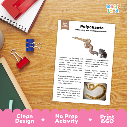 Polychaete Reading Passage and Comprehension Questions with Answer Key