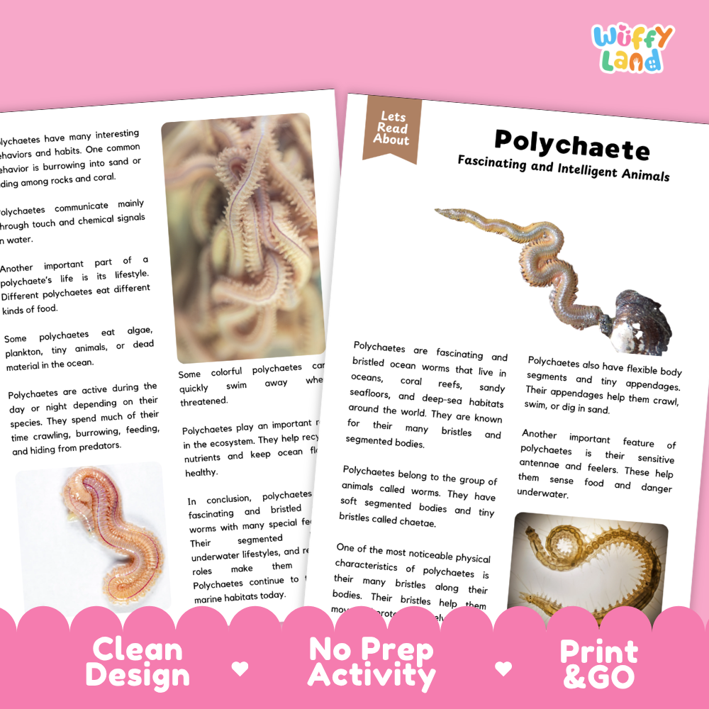 Polychaete Reading Passage and Comprehension Questions with Answer Key