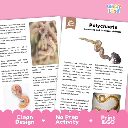 Polychaete Reading Passage and Comprehension Questions with Answer Key