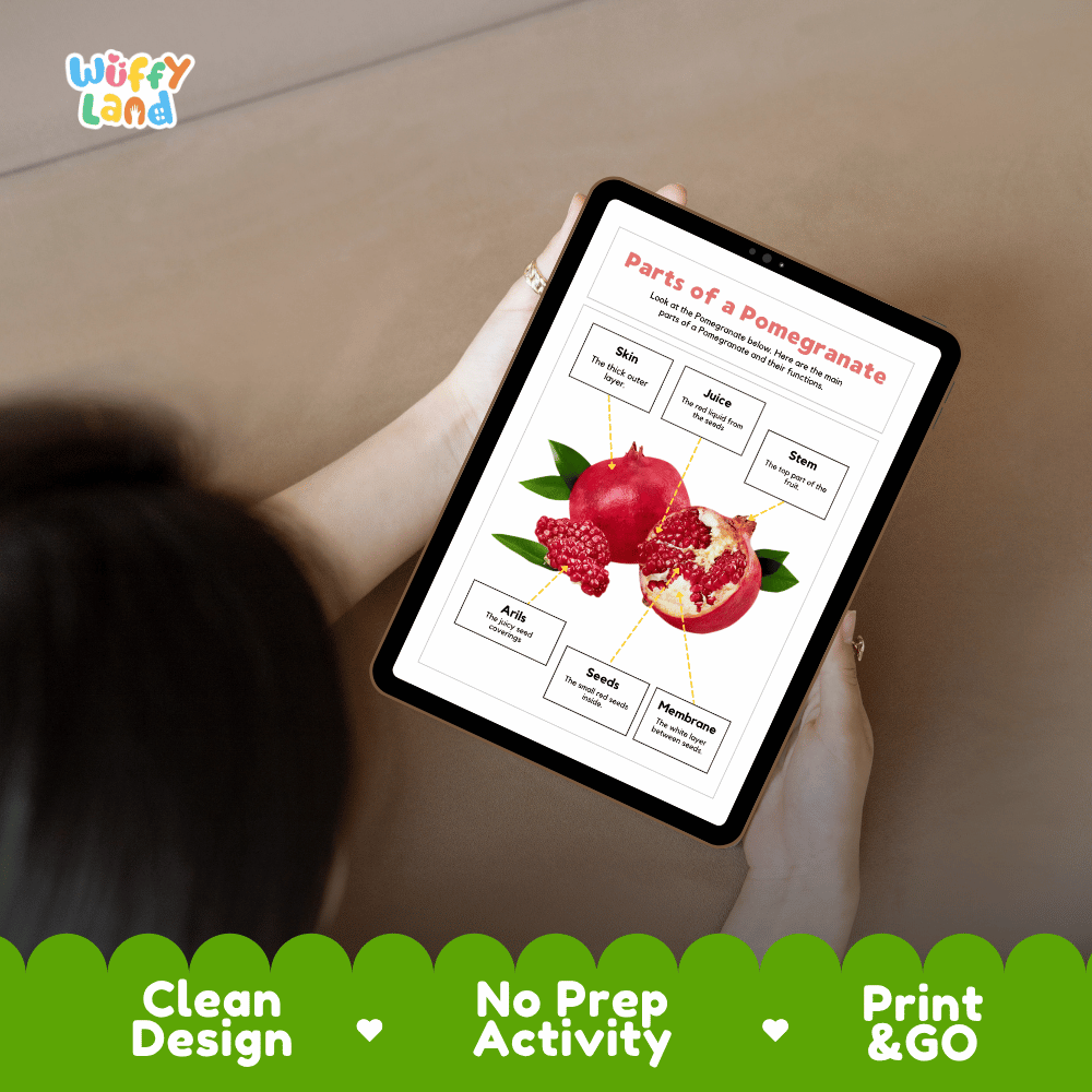 Educational cut and paste pomegranate fruit anatomy worksheet with printable word cutout tiles for skin, stem, arils, seeds, juice, and membrane