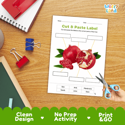 Printable plant biology worksheet showing an opened realistic pomegranate with blank labeling boxes and a vocabulary word bank for writing practice