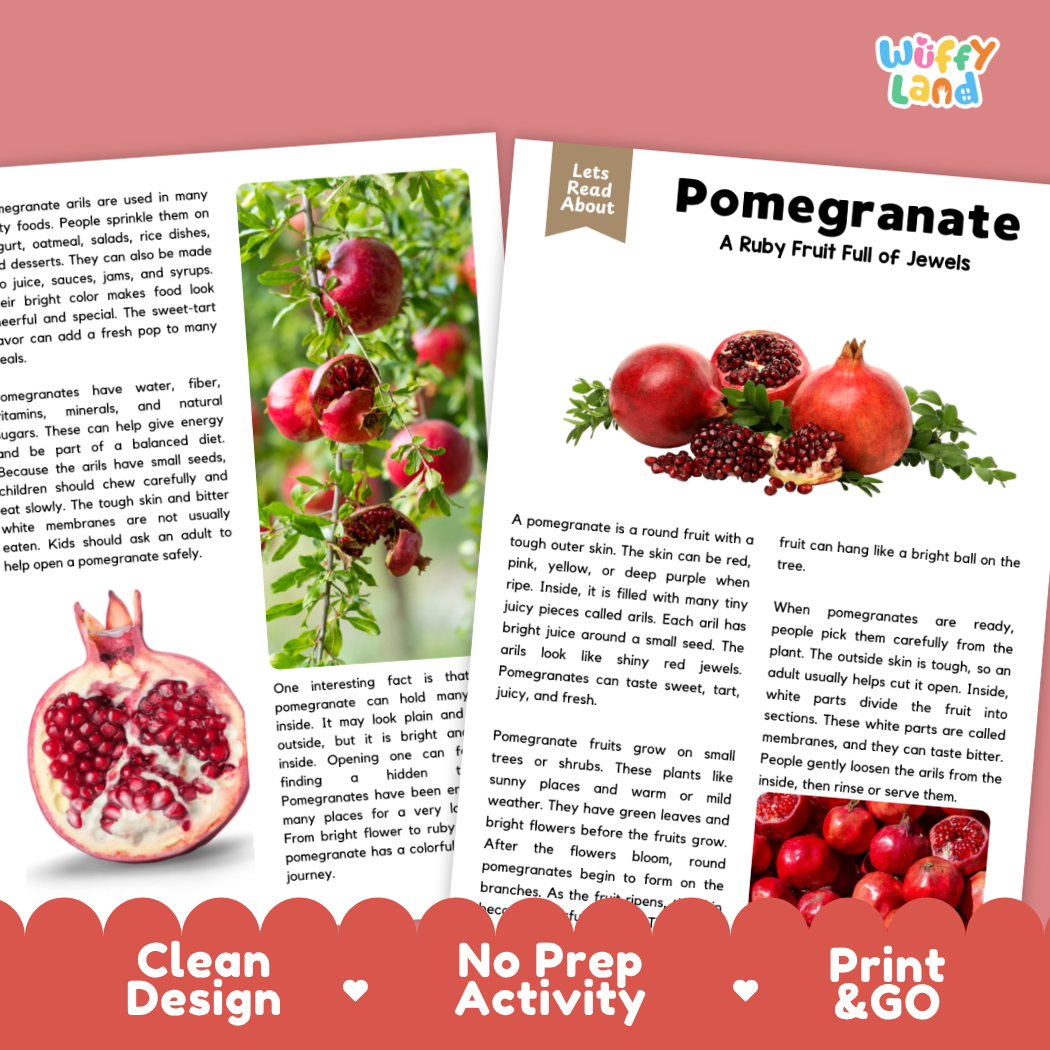 Teacher answer key page showing complete question solutions for Pomegranate nature and science reading comprehension practice