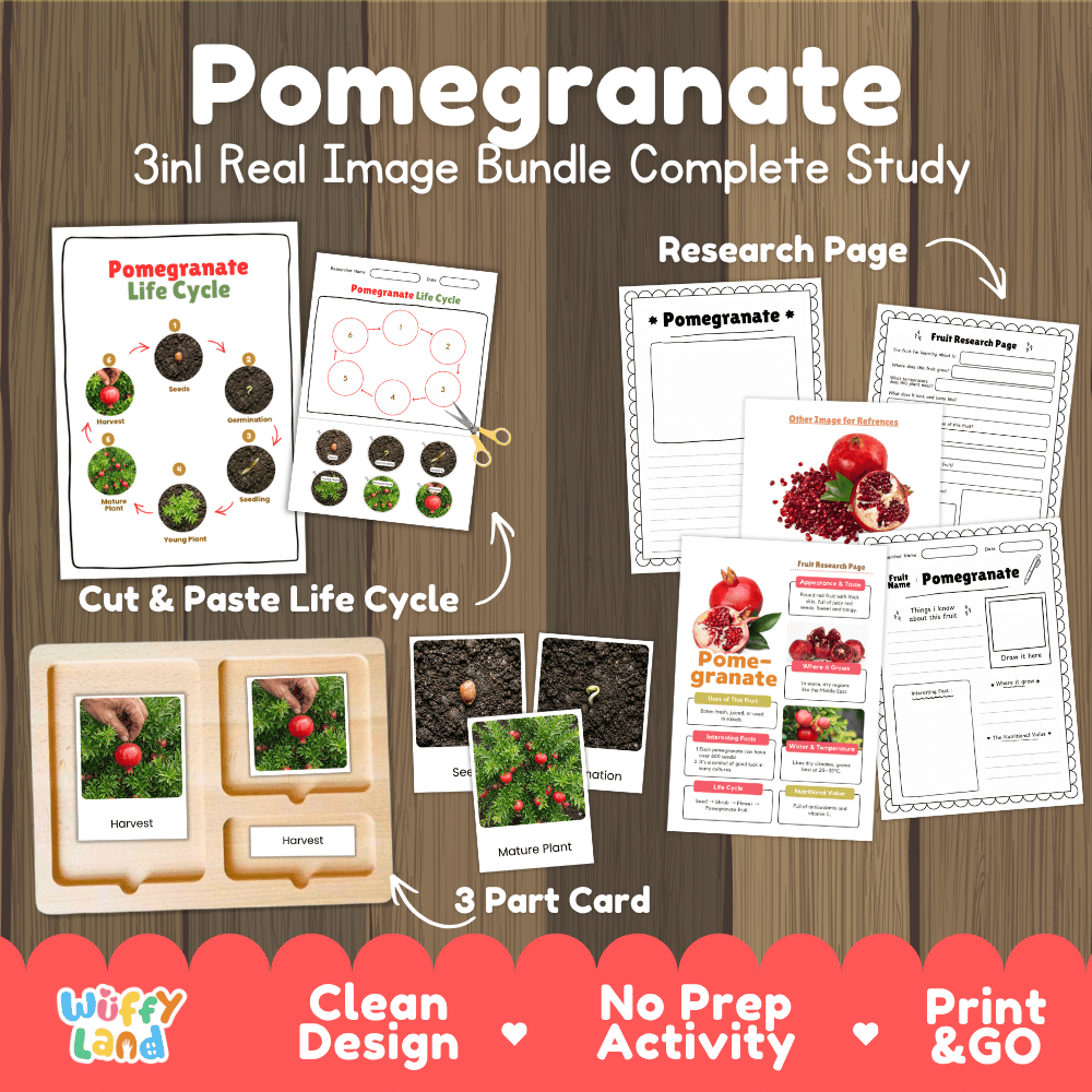 Pomegranate tree life cycle 3in1 real image bundle complete study overview featuring cut and paste worksheets, Montessori 3-part cards, and research pages from Wuffy Land 🍎🌱