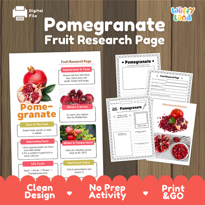 A digital printable educational activity sheet set titled 'Pomegranate Fruit Research Page' by Wiffly Land, shown on a wood-textured background. The set includes a main poster-style page with colorful pomegranate facts and illustrations, plus several smaller worksheet pages fanned out to the right.