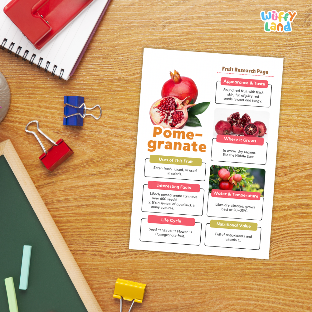 A printed fruit research page about pomegranate lies on a wooden desk, surrounded by school supplies including a red notebook, binder clips, chalk, and a green board. The page includes photos of pomegranates, text sections, and colorful headers.