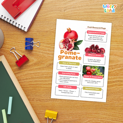 A printed fruit research page about pomegranate lies on a wooden desk, surrounded by school supplies including a red notebook, binder clips, chalk, and a green board. The page includes photos of pomegranates, text sections, and colorful headers.