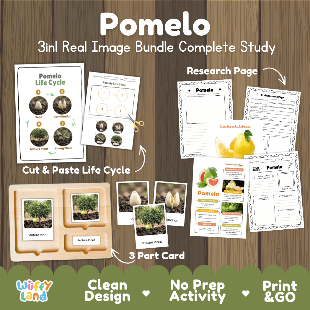Complete Pomelo 3-in-1 real image study bundle featuring cut and paste worksheets, Montessori 3-part cards, and research pages 🍈🌱