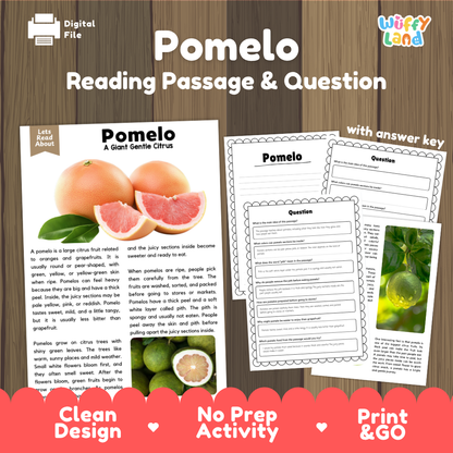 Pomelo reading comprehension passage and questions printable activity pack with answer key for elementary students