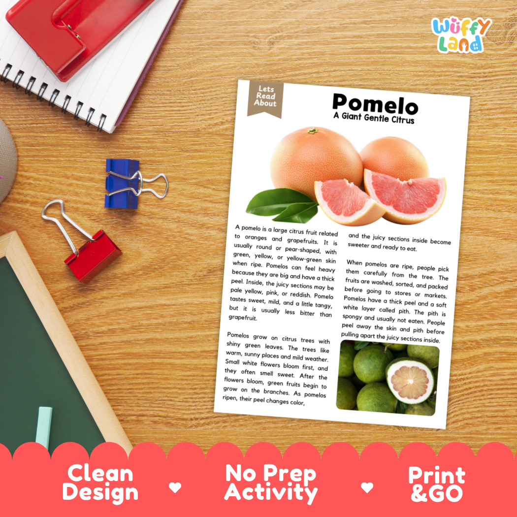 Student reading comprehension worksheet with short-answer questions and lined sections about pomelo citrus fruit