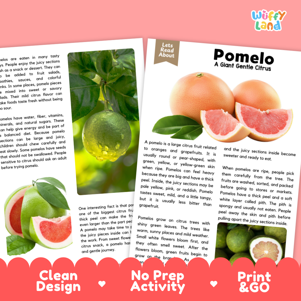 Teacher answer key page showing complete question solutions for pomelo reading comprehension practice