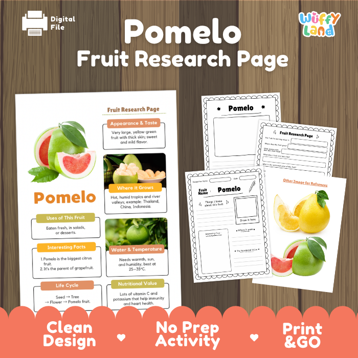 Pomelo Fruit Research Page Worksheets and Fact Sheet