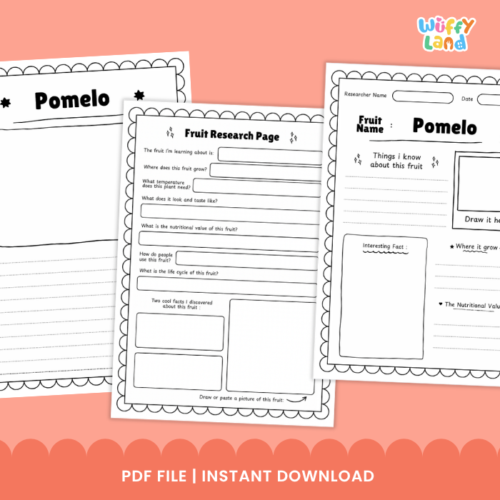 Three printable worksheet pages for a pomelo fruit research project are shown on a peach background. The pages include writing and drawing activities, with the title 'Pomelo' visible.