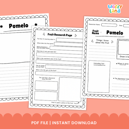 Three printable worksheet pages for a pomelo fruit research project are shown on a peach background. The pages include writing and drawing activities, with the title 'Pomelo' visible.