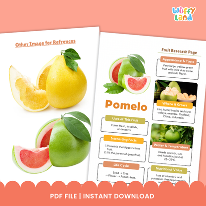 Pomelo Fruit Research Page Worksheets and Fact Sheet