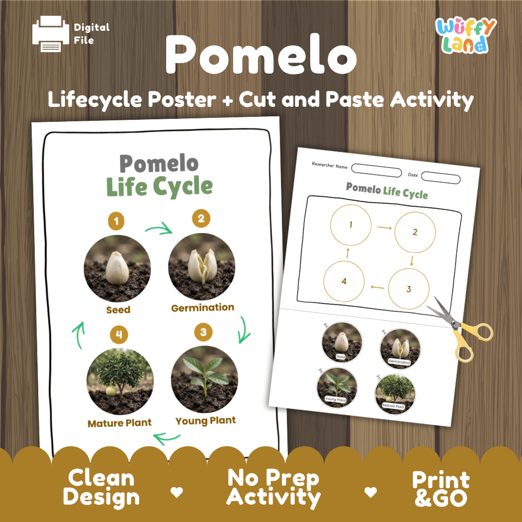 Pomelo Life Cycle Poster and Cut and Paste Worksheet Activity