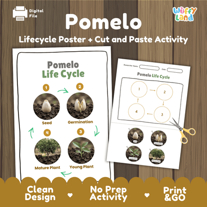 Pomelo Life Cycle Poster and Cut and Paste Worksheet Activity