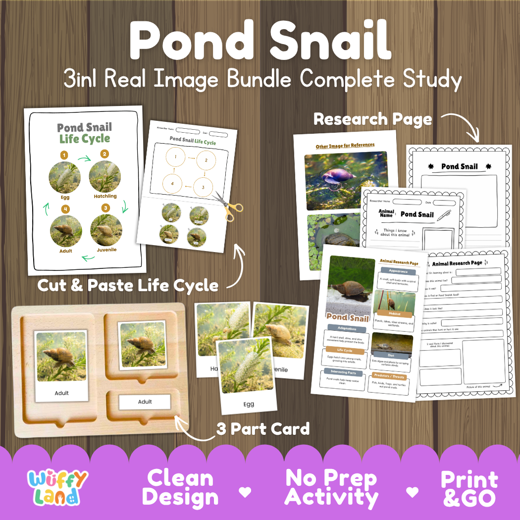 Pond Snail 3-in-1 real image bundle complete study cover showing cut and paste life cycle, 3 part cards, and research pages