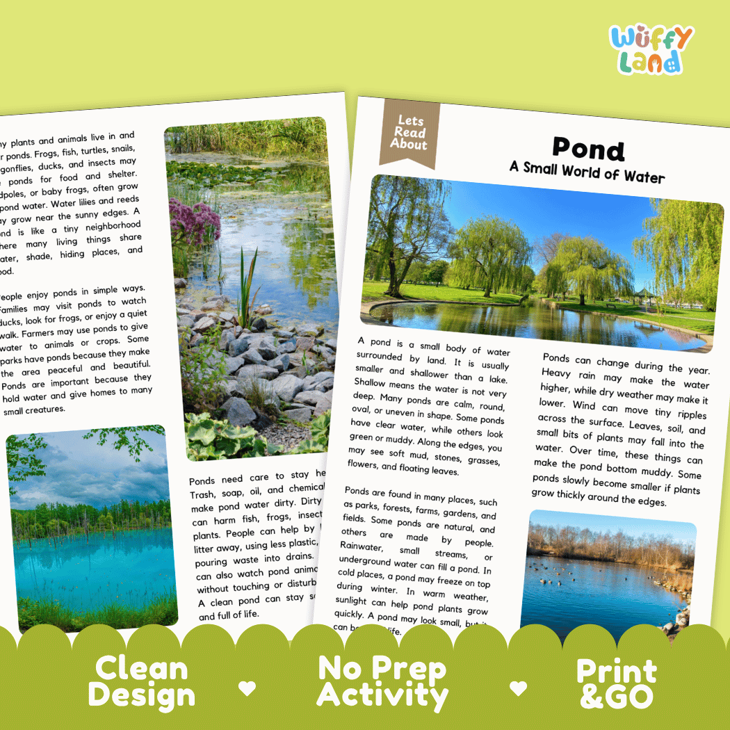 A children's educational activity booklet titled 'Let's Talk About Pond A Small World of Water' by Wiffly Land. The cover features a colorful collage of ponds, fish, and plants, with a white header card.
