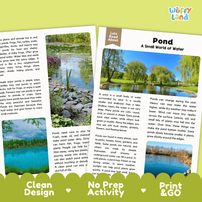 A children's educational activity booklet titled 'Let's Talk About Pond A Small World of Water' by Wiffly Land. The cover features a colorful collage of ponds, fish, and plants, with a white header card.
