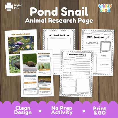 Pond Snail Animal Research Worksheets and Informational Fact Sheets
