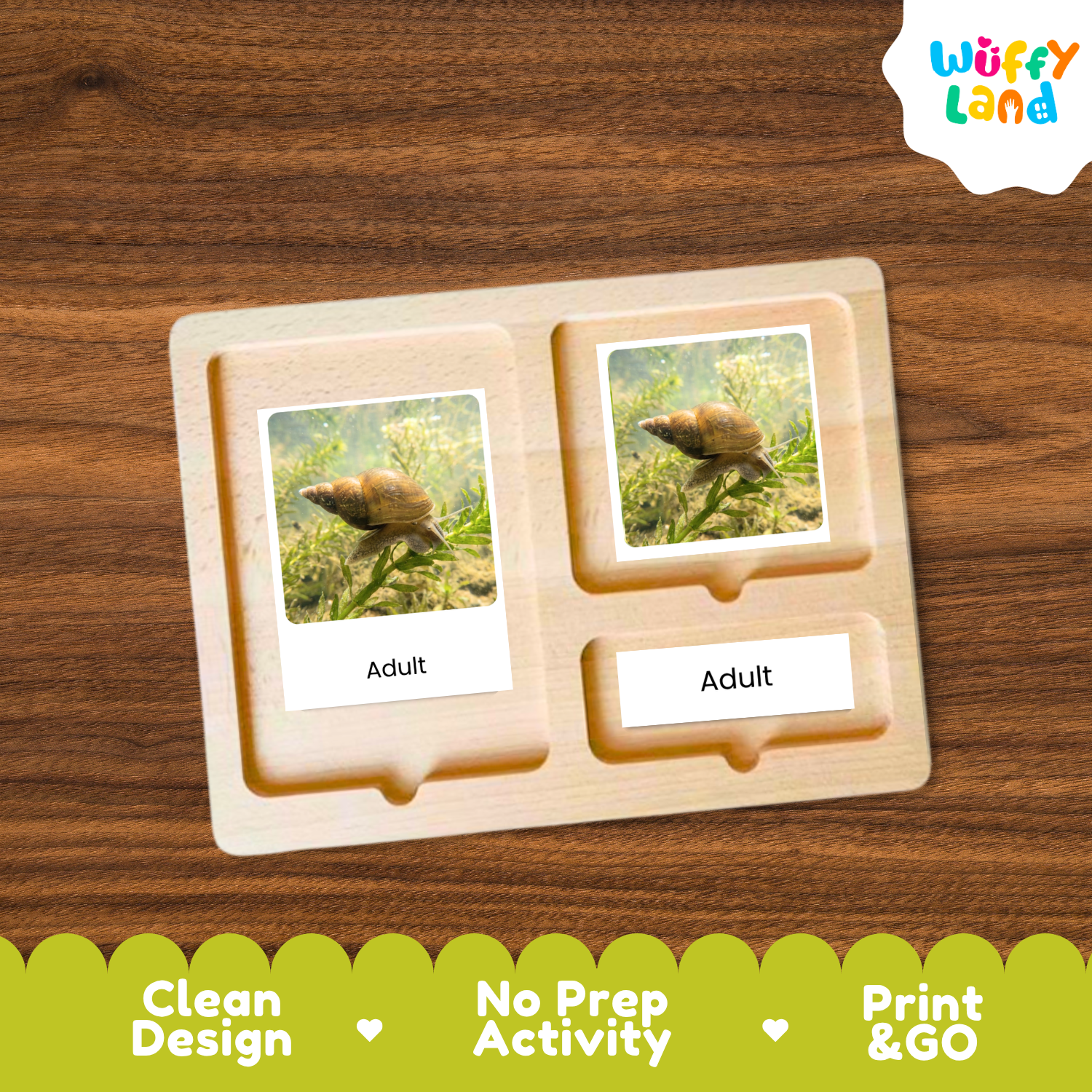 A wooden two-compartment activity tray from Wuffy Land, featuring two slots with printed cards of a snail in grass labeled 'Adult', placed on a dark wood background with a green promotional banner at the bottom.