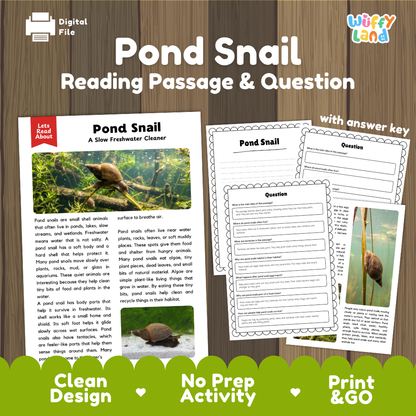 Digital reading activity product titled 'Pond Snail Reading Passage & Question' shown on a wood-textured background. The layout includes a sample passage page, worksheet pages, and a 'with answer key' note, plus branding for 'Wiffly Land' and a 'Digital File' label.