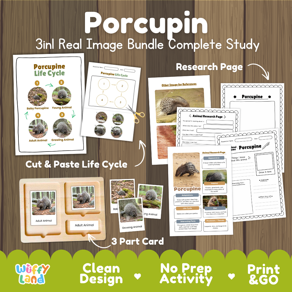 Porcupine 3-in-1 real image bundle complete study cover showing cut and paste life cycle, 3 part cards, and research pages