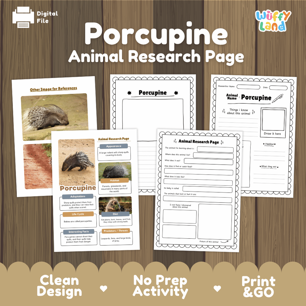 Porcupine Animal Research Page Worksheets and Fact Sheet Activity