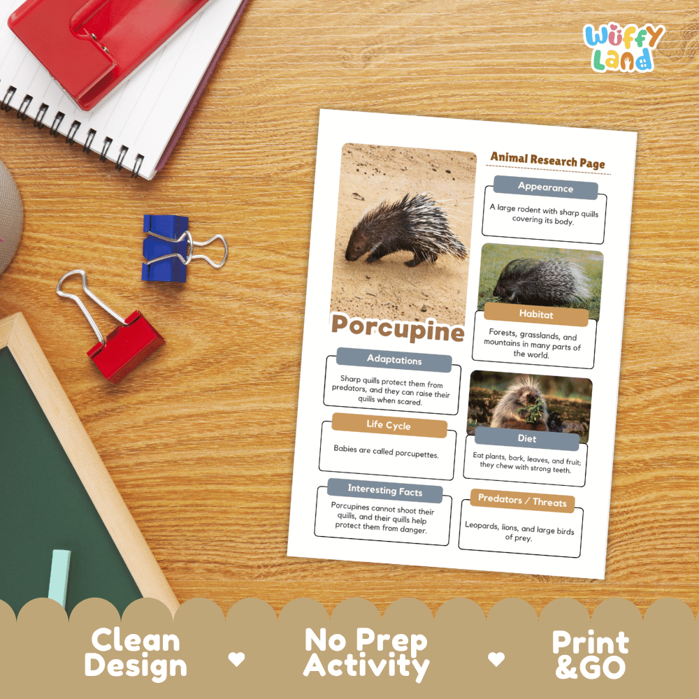 Porcupine Animal Research Page Worksheets and Fact Sheet Activity