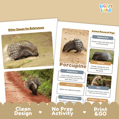 Porcupine Animal Research Page Worksheets and Fact Sheet Activity