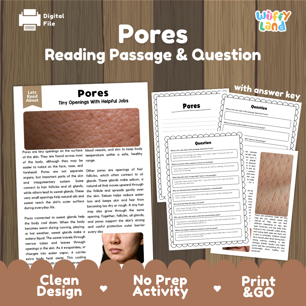 Pores reading comprehension passage and questions printable activity pack with answer key for elementary students