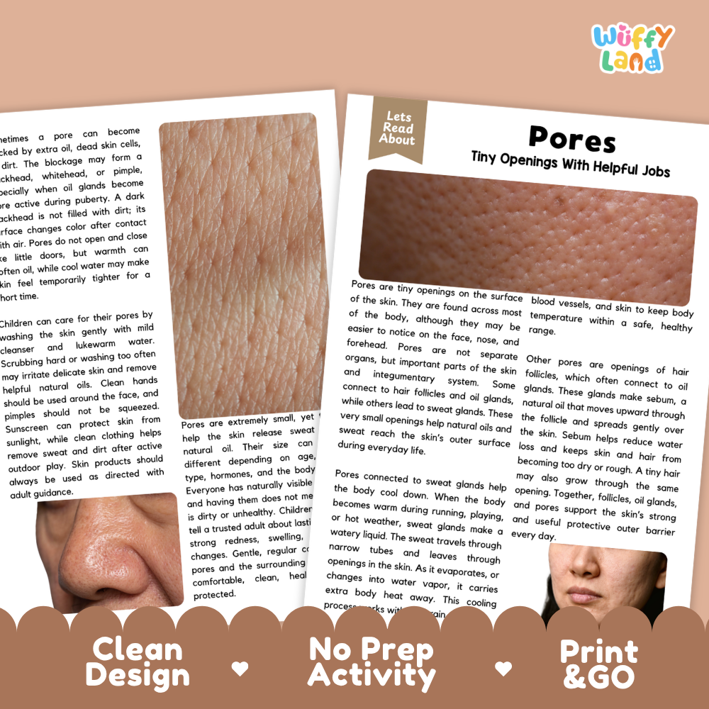 Teacher answer key page showing complete question solutions for Pores human body reading comprehension practice