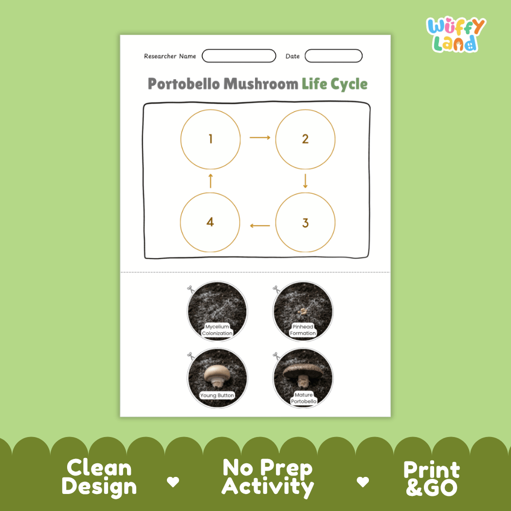Educational reference poster showing four realistic photo stages of a portobello mushroom life cycle including spores, pinhead, young mushroom, and mature open cap