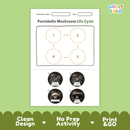 Educational reference poster showing four realistic photo stages of a portobello mushroom life cycle including spores, pinhead, young mushroom, and mature open cap