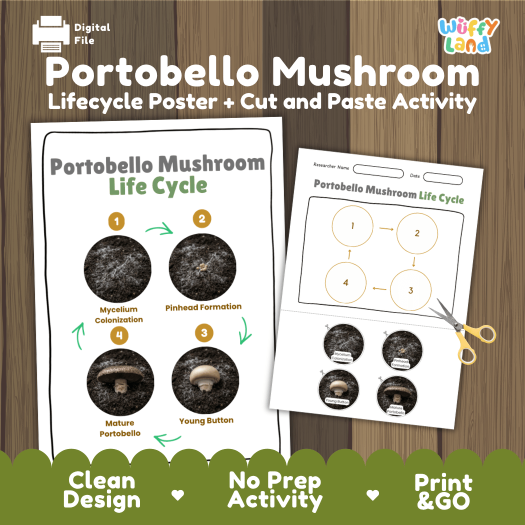 Portobello mushroom fungi life cycle educational printable pack cover showing visual reference poster and cut and paste sequencing worksheet with real photography