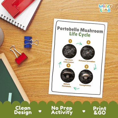 Hands-on cut and paste science worksheet for students to cut real photo tokens and sequence portobello mushroom growth stages onto numbered circles