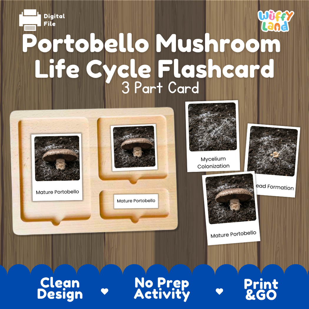 Portobello Mushroom Life Cycle Flashcard set by Wiffy Land, featuring a 3-part wooden card tray and three removable card pieces showing mushroom growth stages, displayed on a wood-grain background with promotional text.