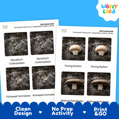 Two printed mushroom life cycle cards shown on a blue background, with the brand name Wüffle Land in the top right corner. The cards show labeled photos of portobello mushroom growth stages: mycelium colonization, young button, pinhead formation, mature portobello, and a clean design with promotional text at the bottom.