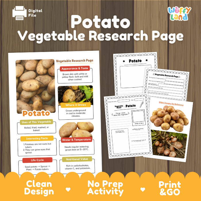 Digital preview of a 'Potato Vegetable Research Page' activity sheet set by Wiffy Land, featuring a main poster page and two worksheet pages on a wood background with promotional text at the bottom.