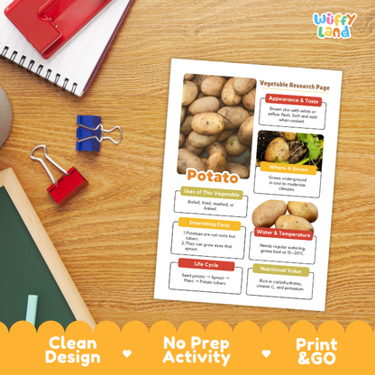 A printed educational activity sheet titled 'Potato' lies on a wooden desk, surrounded by school supplies including a spiral notebook, binder clips, and a red notebook. The sheet contains photos of potatoes and labeled sections about appearance, growth, uses, facts, water/temperature, and nutritional value.