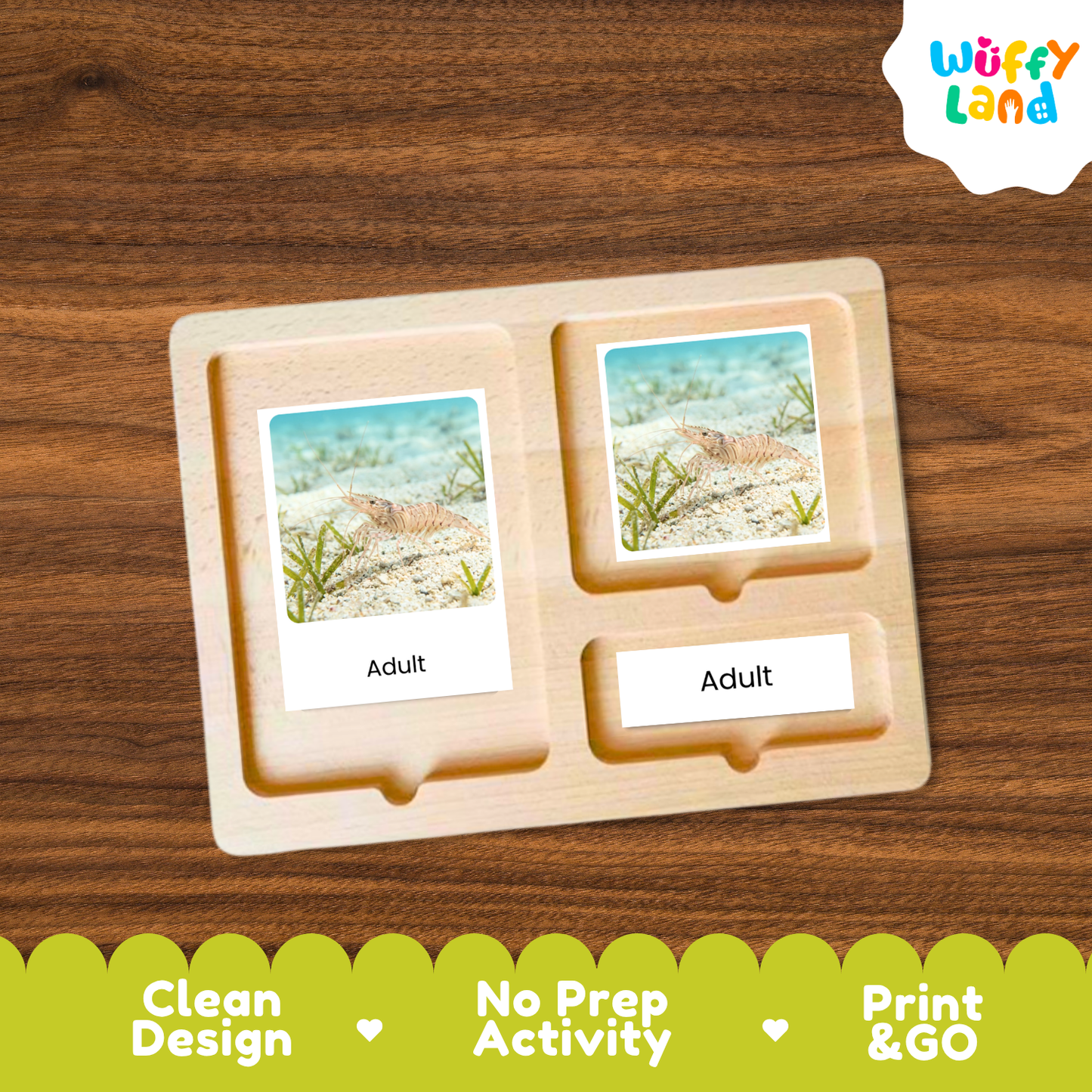 A wooden Montessori-style activity board with two labeled slots reading 'Adult,' shown on a wood-grain background. Each slot contains a small printed card with a beach scene and the word 'Adult.
