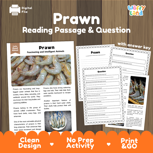 Prawn Reading Passage and Questions Worksheets with Answer Key