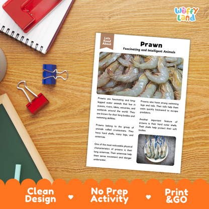 Prawn Reading Passage and Questions Worksheets with Answer Key