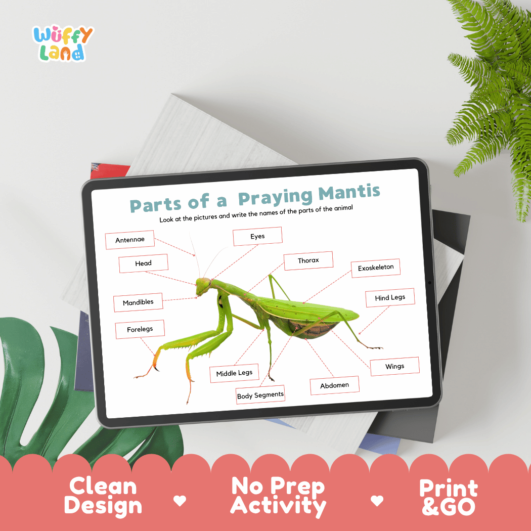 Hands-on praying mantis anatomy cut and paste worksheet with printable word tags, callout pointer lines, and scissors graphic