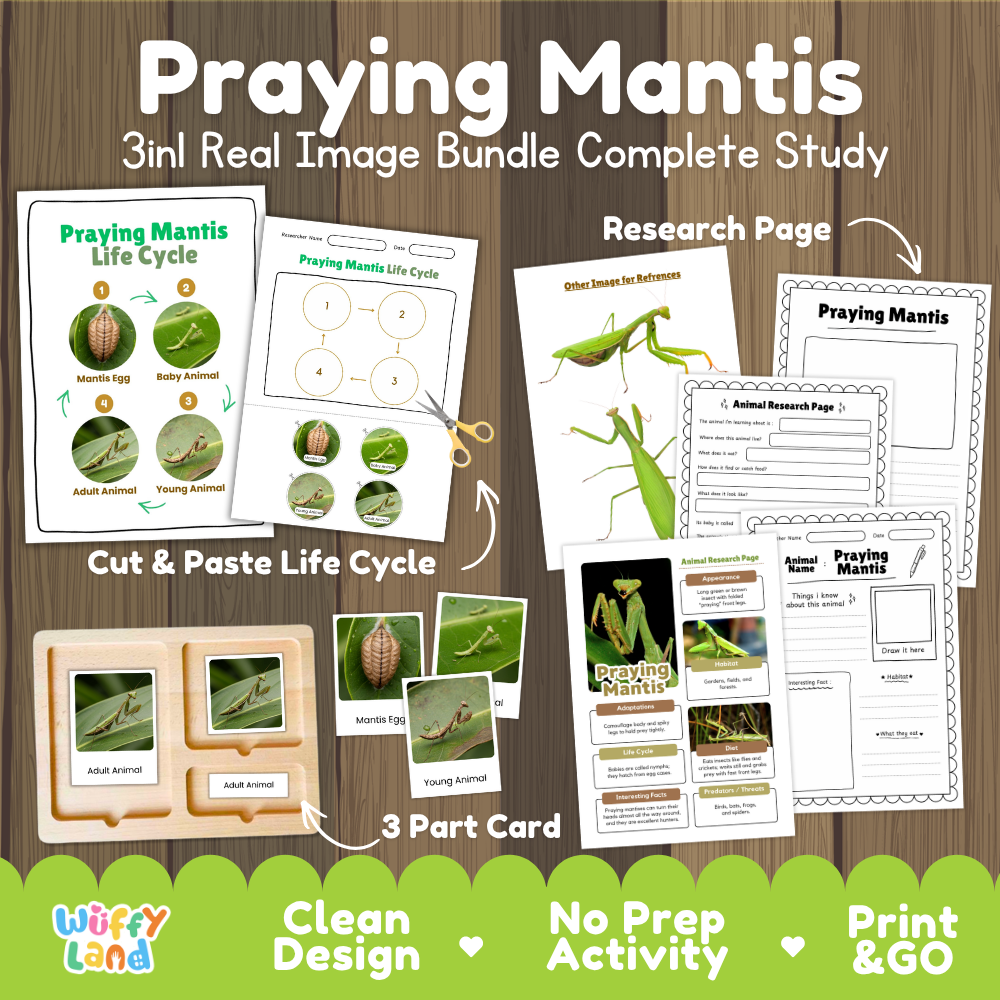 Praying Mantis 3-in-1 real image bundle complete study cover showing cut and paste life cycle, 3 part cards, and research pages