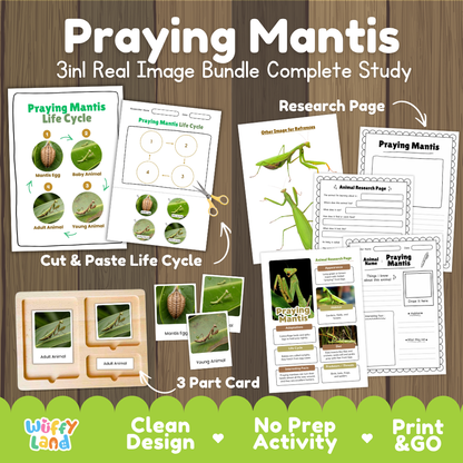Praying Mantis 3-in-1 real image bundle complete study cover showing cut and paste life cycle, 3 part cards, and research pages
