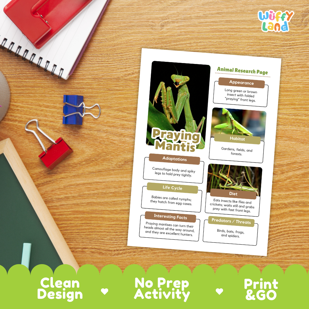 An educational printout titled 'Praying Mantis Animal Research Page' displayed on a wooden desk with school supplies. The page features a large photo of a green praying mantis and text boxes about its appearance, habitat, adaptations, diet, and interesting facts.