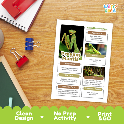 An educational printout titled 'Praying Mantis Animal Research Page' displayed on a wooden desk with school supplies. The page features a large photo of a green praying mantis and text boxes about its appearance, habitat, adaptations, diet, and interesting facts.