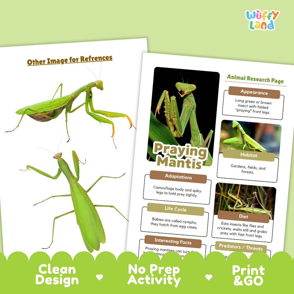 Two printed educational activity sheets about praying mantises shown on a light green background. One sheet has a large green praying mantis photo labeled 'Other Image for References,' and the other is an 'Animal Research Page' with text boxes about appearance, habitat, adaptations, life cycle, diet, and interesting facts, plus a small photo of a mantis.